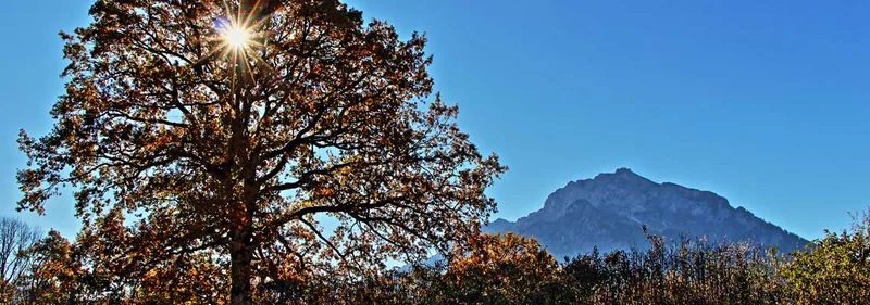Herbstlicher Blick auf den Untersberg